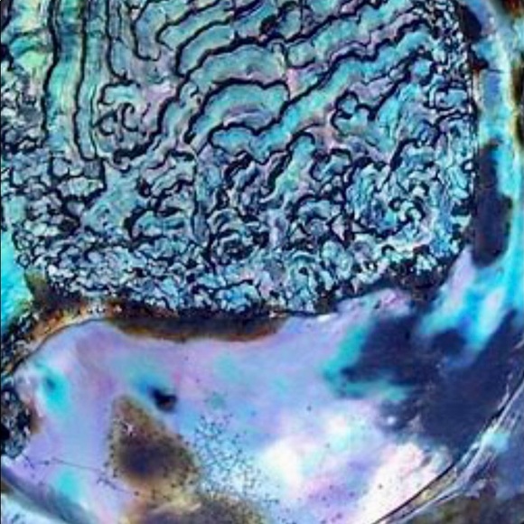 Vietri Aladdin Antique finish Lilac/Abalone Flatware 30 pieces Open box$900 - Picture 9 of 12